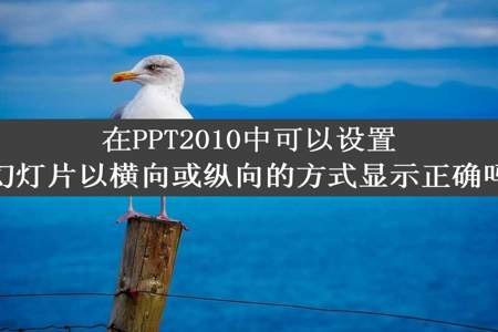 在PPT2010中可以设置幻灯片以横向或纵向的方式显示正确吗