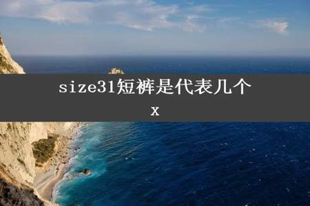 size31短裤是代表几个x