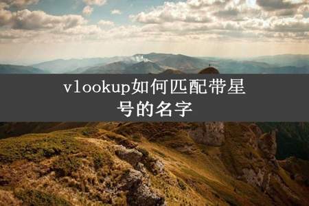 vlookup如何匹配带星号的名字