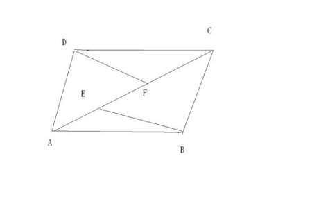 四边形的对角线有几条