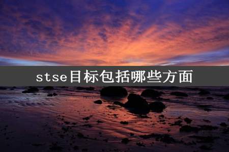 stse目标包括哪些方面