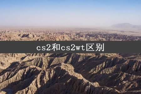 cs2和cs2wt区别