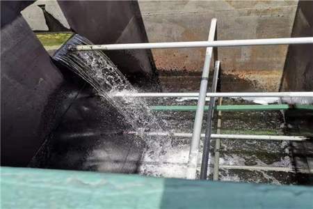 污水处理菌能不能用在水产养殖