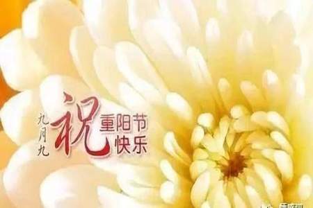 重阳节正能量段子