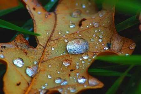 冬雨的古诗