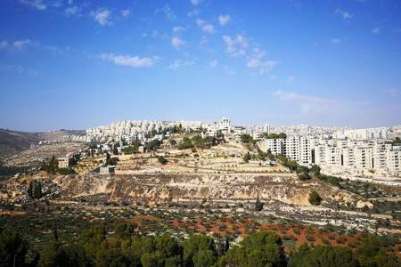 以色列以前是被巴勒斯坦收留的吗