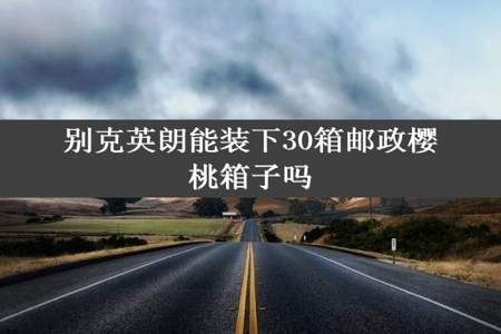 别克英朗能装下30箱邮政樱桃箱子吗