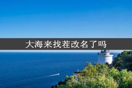 大海来找茬改名了吗