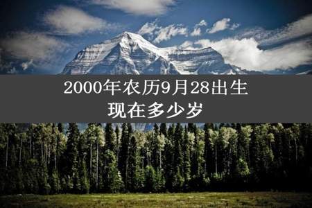 2000年农历9月28出生现在多少岁