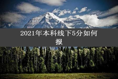 2021年本科线下5分如何报