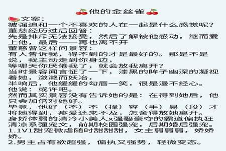 爱的偏执3大结局