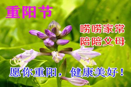 重阳节祝福母亲话语