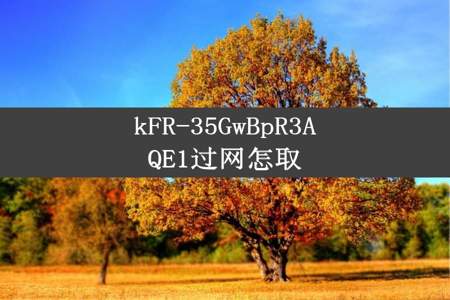 kFR-35GwBpR3AQE1过网怎取