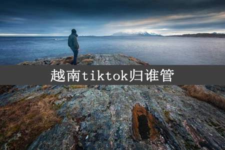 越南tiktok归谁管