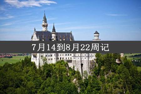 7月14到8月22周记