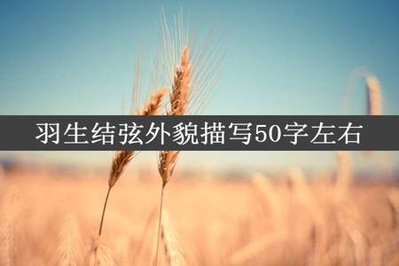 羽生结弦外貌描写50字左右