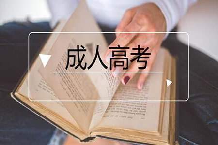 成人高考本科学历可以考公务员吗