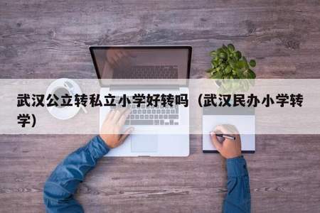 公立学校可以转学到民办学校么