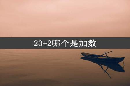 23+2哪个是加数