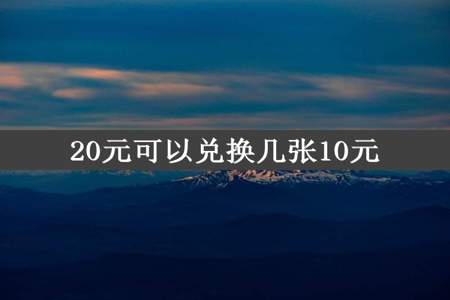 20元可以兑换几张10元