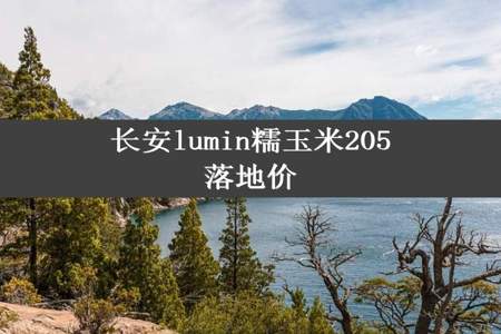 长安lumin糯玉米205落地价