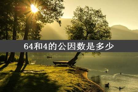 64和4的公因数是多少