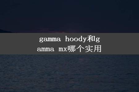 gamma hoody和gamma mx哪个实用