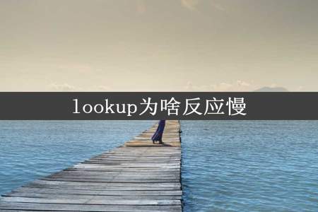 lookup为啥反应慢