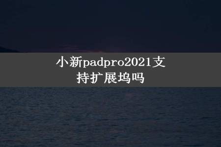 小新padpro2021支持扩展坞吗