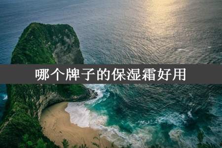 哪个牌子的保湿霜好用