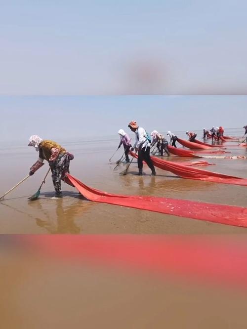 金泥湾赶海时间