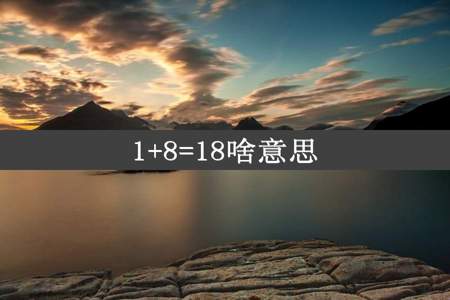 1+8=18啥意思