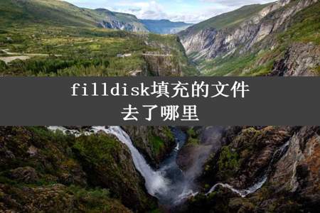 filldisk填充的文件去了哪里