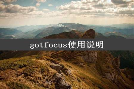 gotfocus使用说明