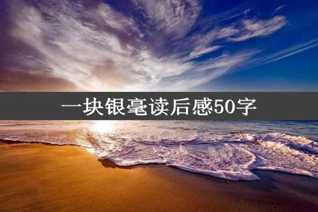 一块银毫读后感50字