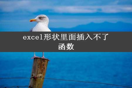 excel形状里面插入不了函数