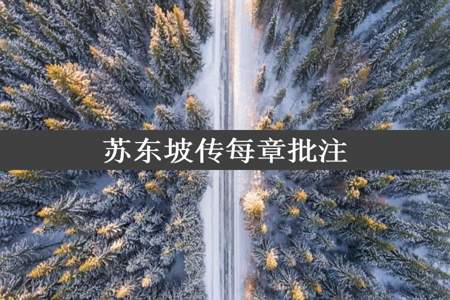 苏东坡传每章批注