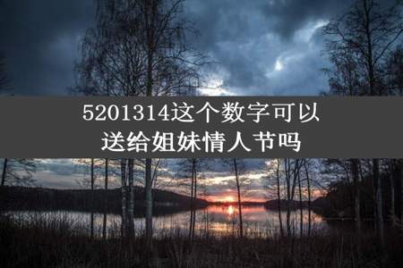 5201314这个数字可以送给姐妹情人节吗