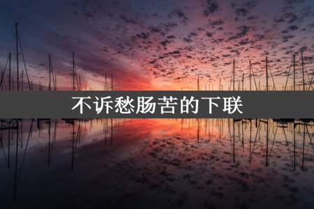 不诉愁肠苦的下联