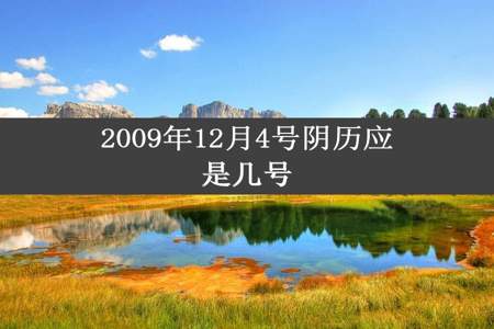 2009年12月4号阴历应是几号