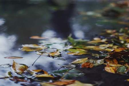 一场秋雨一场寒是哪个节气