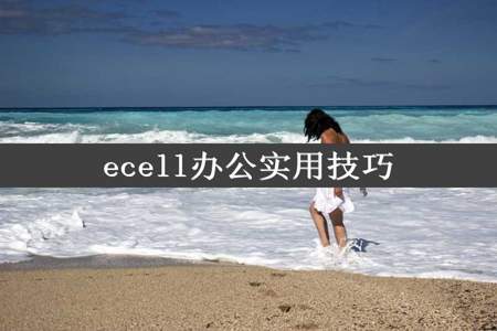 ecell办公实用技巧