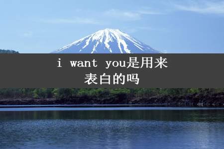 i want you是用来表白的吗