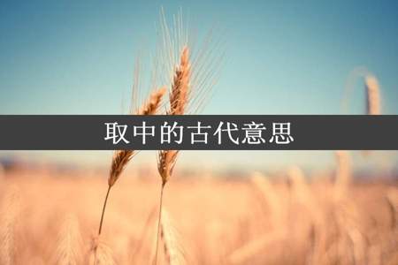 取中的古代意思