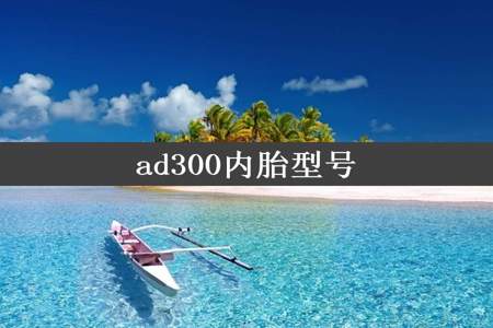 ad300内胎型号