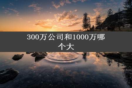 300万公司和1000万哪个大