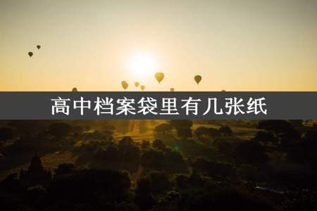 高中档案袋里有几张纸