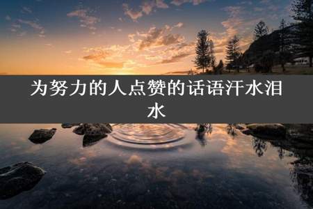 为努力的人点赞的话语汗水泪水