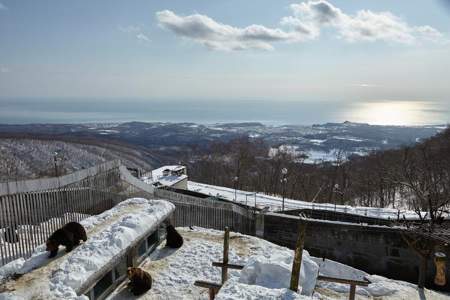 12月初北海道能看雪景吗