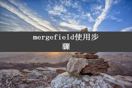 mergefield使用步骤